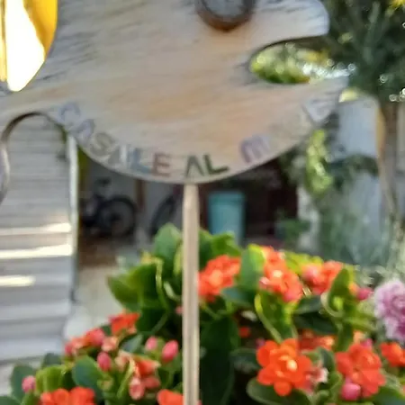 Con Giardino E Parcheggio Coperto