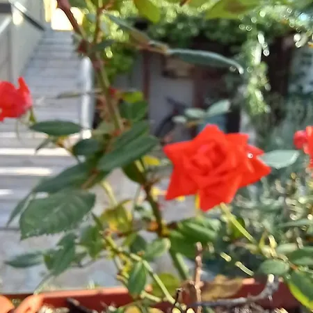 Holiday home Con Giardino E Parcheggio Coperto Loreto