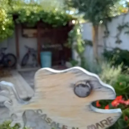 Con Giardino E Parcheggio Coperto * Loreto