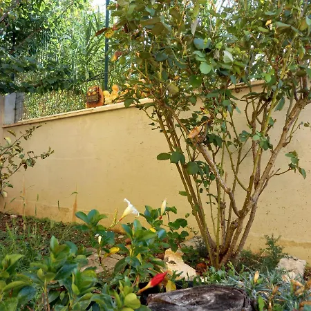 Con Giardino E Parcheggio Coperto