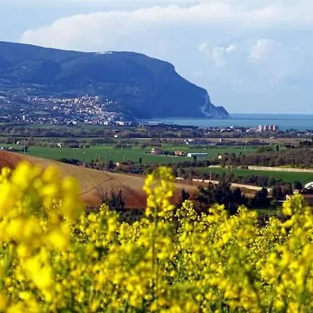 Con Giardino E Parcheggio Coperto Loreto